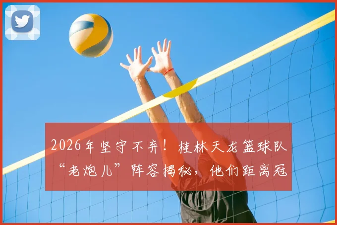 2026年坚守不弃！桂林天龙篮球队“老炮儿”阵容揭秘，他们距离冠军梦想还有多远？