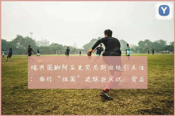 瑞典国脚阿亚里突尼斯血统引关注:面对“祖国”进球拒庆祝,背后原因与双重国籍球员生存现状深度探讨