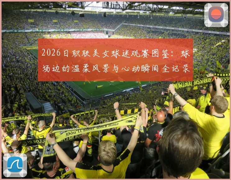 2026日职联美女球迷观赛图鉴：球场边的温柔风景与心动瞬间全记录